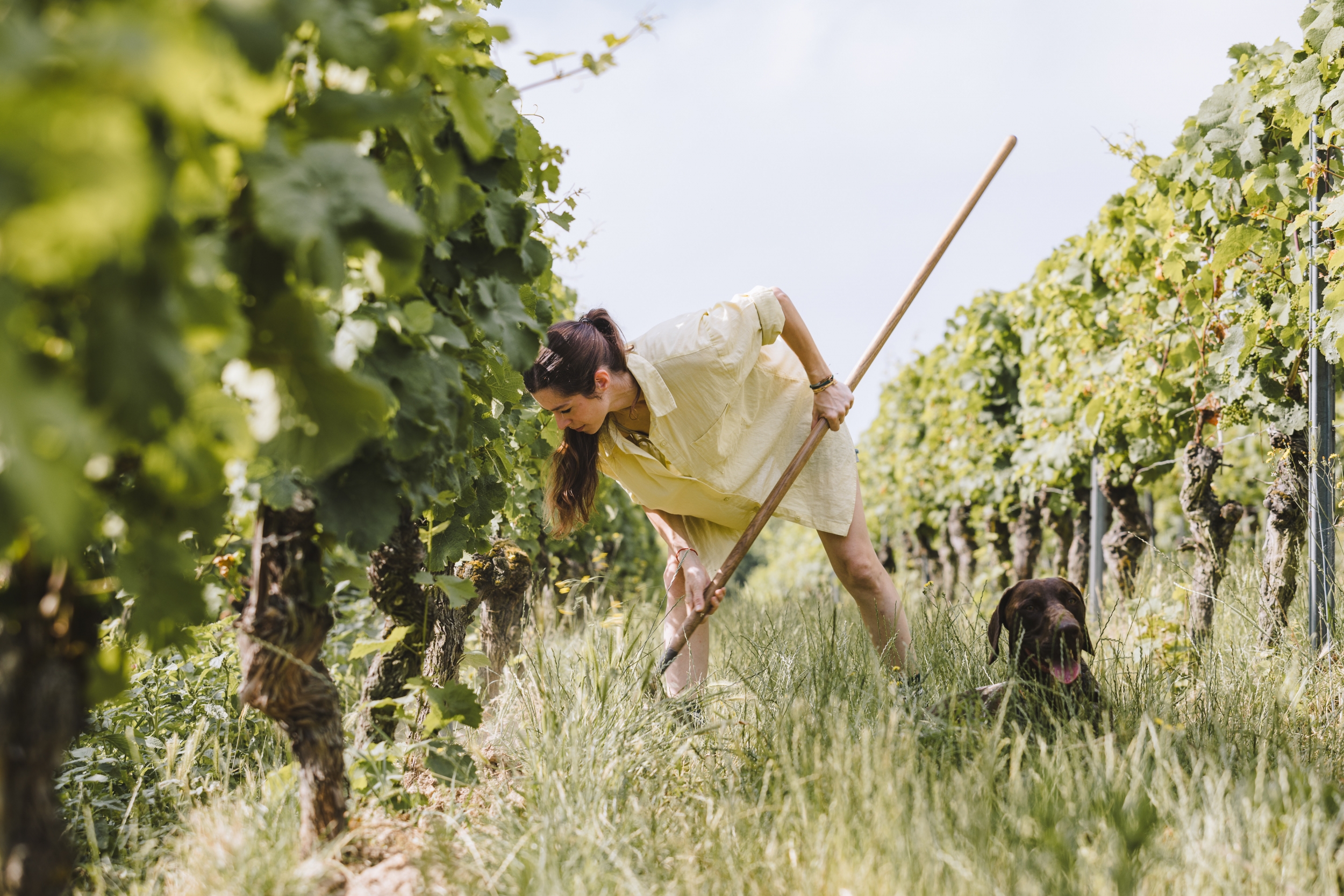 Weingut Rappenhof mit Elisabeth Muth Weingut Rappenhof mit Elisabeth Muth