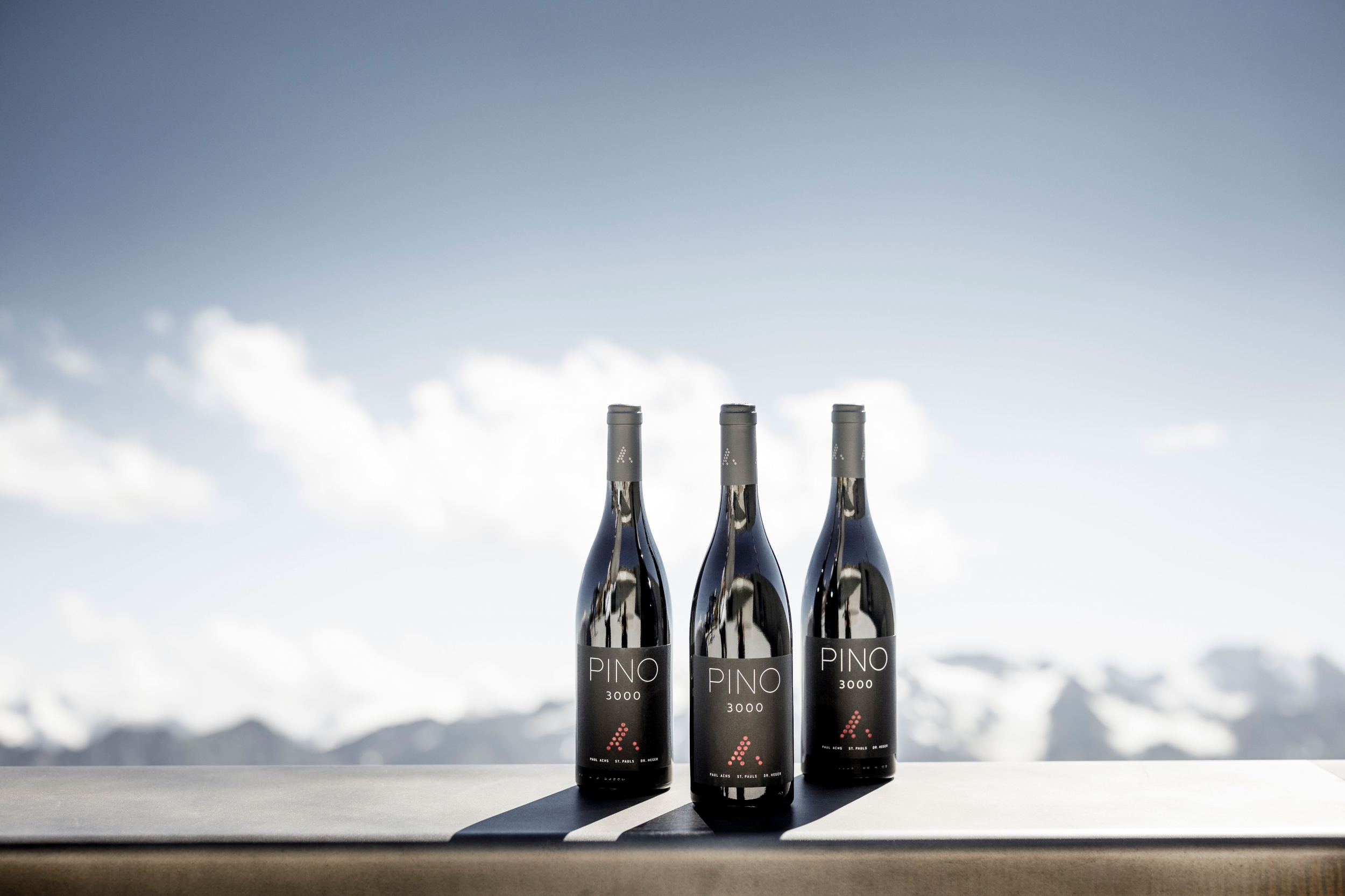 PINO 3000 – Drei-Länder-Wein als Ausdruck vinophiler Zusammenarbeit PINO 3000 – Drei-Länder-Wein als Ausdruck vinophiler Zusammenarbeit