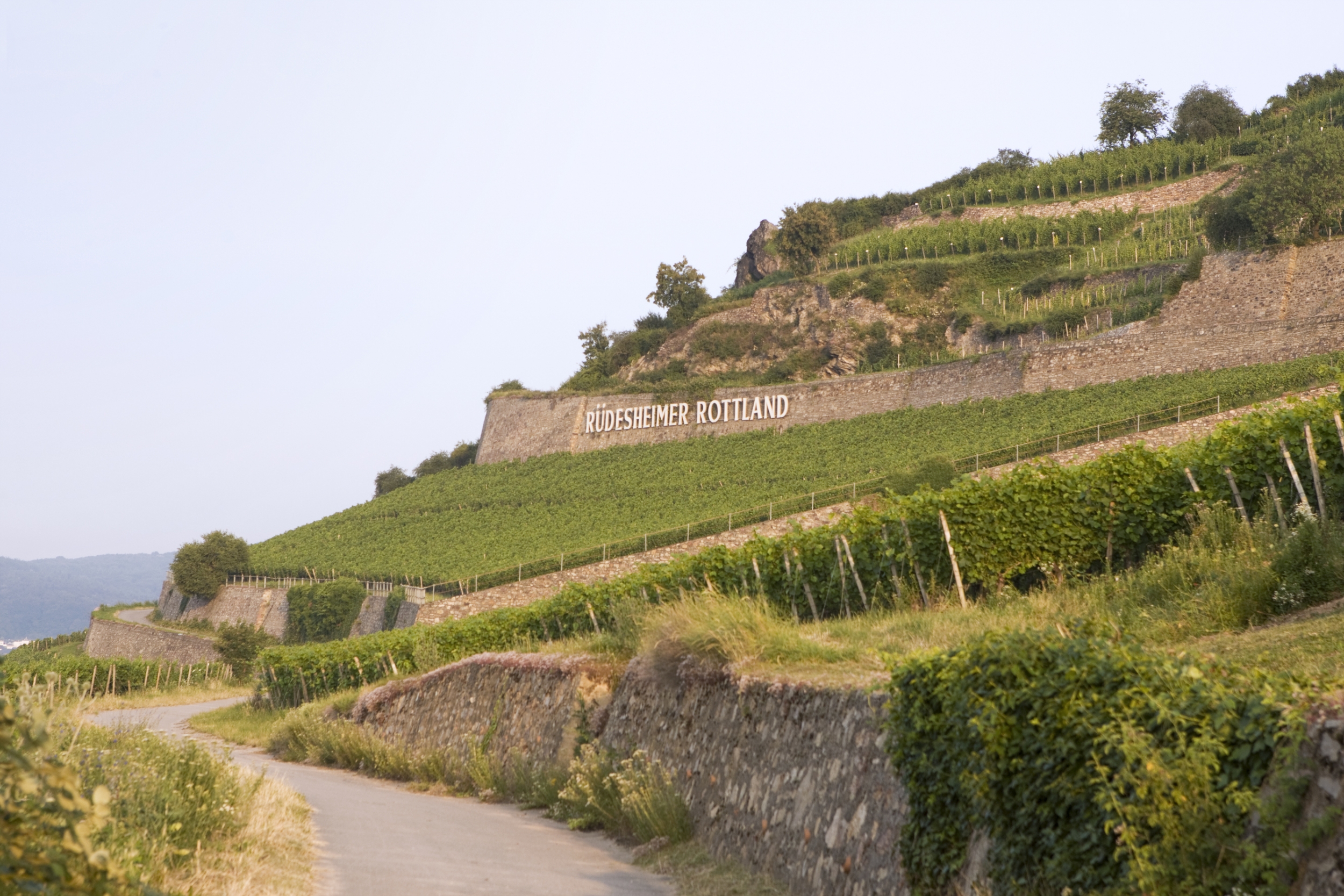 Weingut Georg Breuer Weingut Georg Breuer