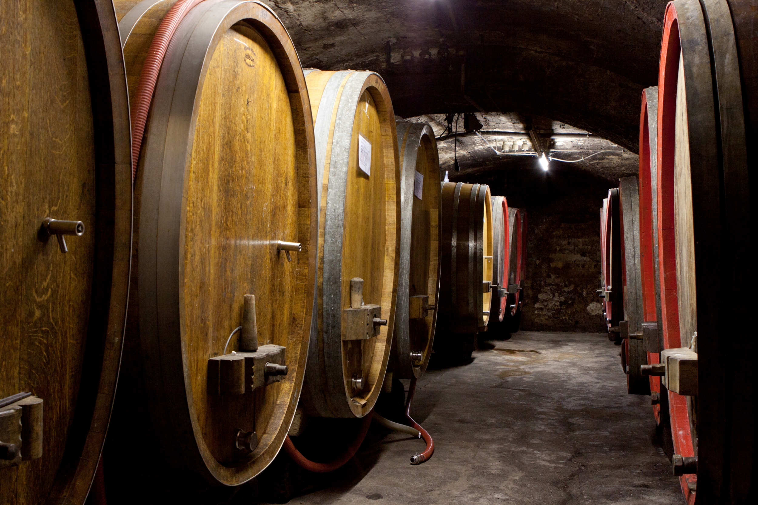 Weingut Georg Breuer Weinfässer Weingut Georg Breuer Weinfässer