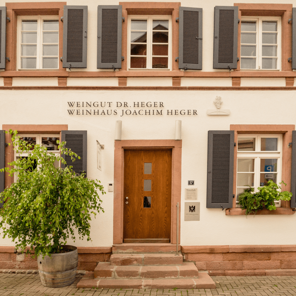 Weingut Dr. Heger Weingut Dr. Heger