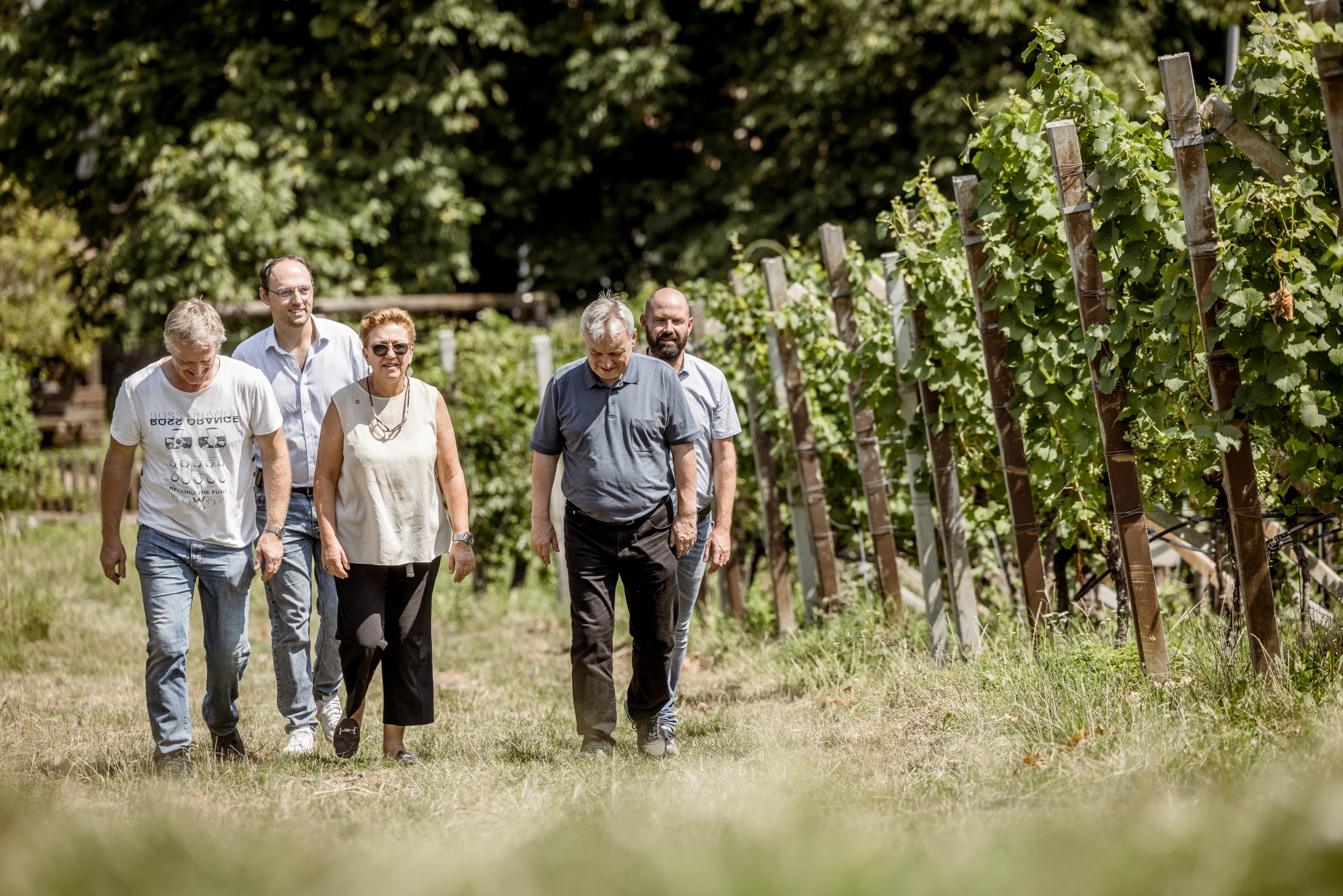 Weinberge bei der Weinreise zur Kellerei St. Pauls - Hotel Das Central Weinberge bei der Weinreise zur Kellerei St. Pauls - Hotel Das Central